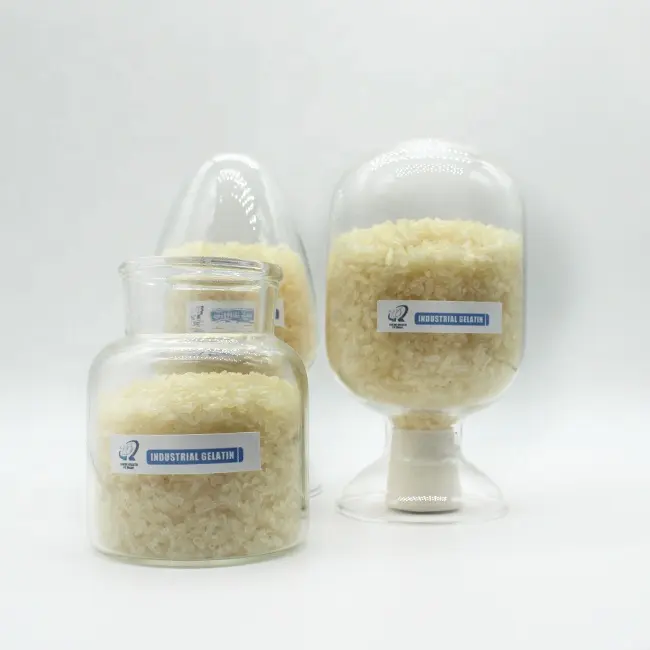 Halal Certified Gelatin Cosmetics, High Purity and Skin-Nourishing, Perfect for Beauty Treatments